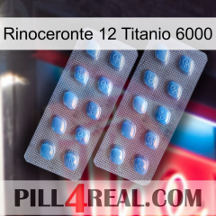 Rhino 12 Titanium 6000 viagra4